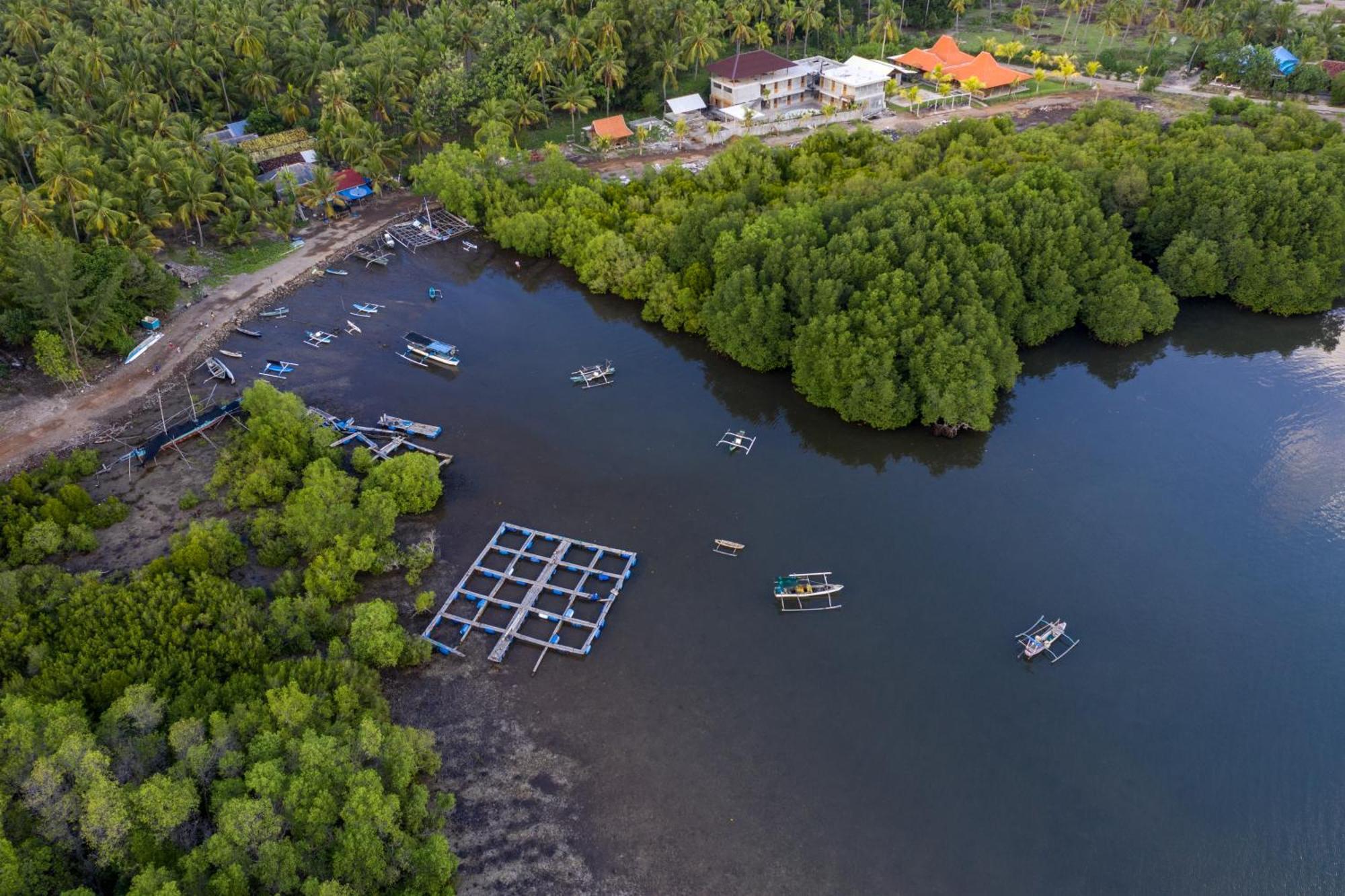 Mangroove Bay Boutique Hostel Баньюведанг Экстерьер фото